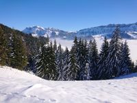 IMG_2141