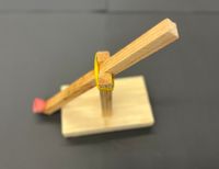 IMG_9494