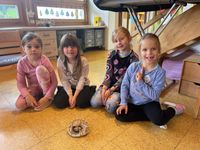 7d3c7784-e0eb-4a7c-b7e2-6831a23d6ab7