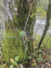 611cf223-d65d-49c0-8dcd-c5aad3cac53c