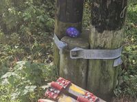 dc9fd525-3ca6-4f89-90db-c87c14ce07ee