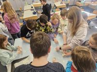 95598527-8a13-4715-8659-c754f3003eec