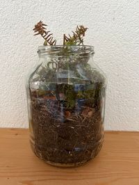 IMG_4690